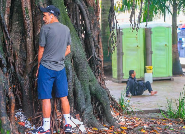 Las ceibas bongas del Parque Bolívar son utilizadas como orinales. Allí hay dos baños portátiles mal aseados. FOTO esneyder gutiérrez