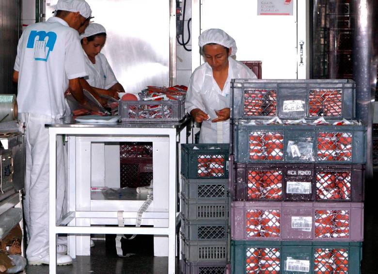 Zenú tiene la mejor planta de producción de alimentos cárnicos en Colombia, con calidad certificada internacionalmente bajo la norma ISO 9001:2000. FOTO el colombiano