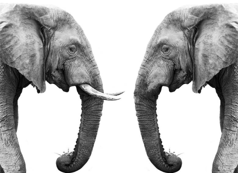 Son los humanos la causa de la evolución animal? Son los humanos la causa de la evolución animal?