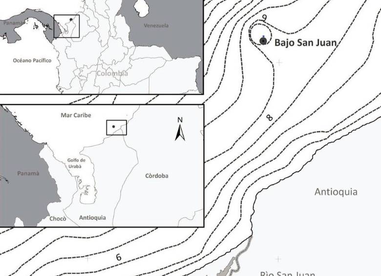 El ecosistema que registró el investigador de la Universidad de Antioquia, “se ubica en las formaciones coralinas de la región que están conformadas por los arrecifes de San Antero, Isla Tortuguilla, Isla Fuerte, Capurganá, Zapsurro y Punta Caribana”. FOTO Cortesía Corpouraba
