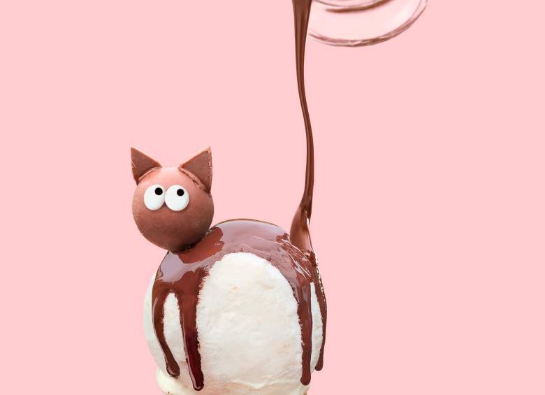 Nombre: Ice cream cat. Foto: Cortesía HS