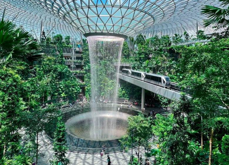 Aeropuerto Changi de Singapur. FOTO: TOMADA DE INSTAGRAM @changiairport