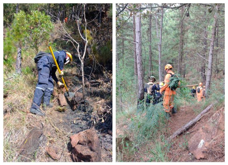 A primera hora de este domingo, los organismos de socorro retomaron las labores para controlar el fuego por completo. FOTOS Cortesía