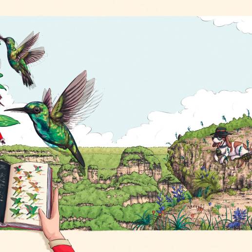 Ilustración de “Biblioperrito lee guías de aves” , un libro de Andrés Barragán, Sergio Chaparro y Sebastián Calderón. Imagen: Cortesía