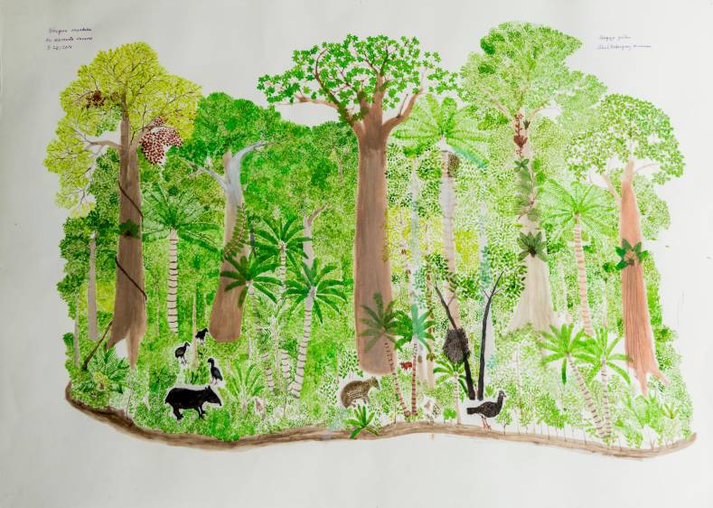 Cuatro artistas reflexionan sobre la biodiversidad