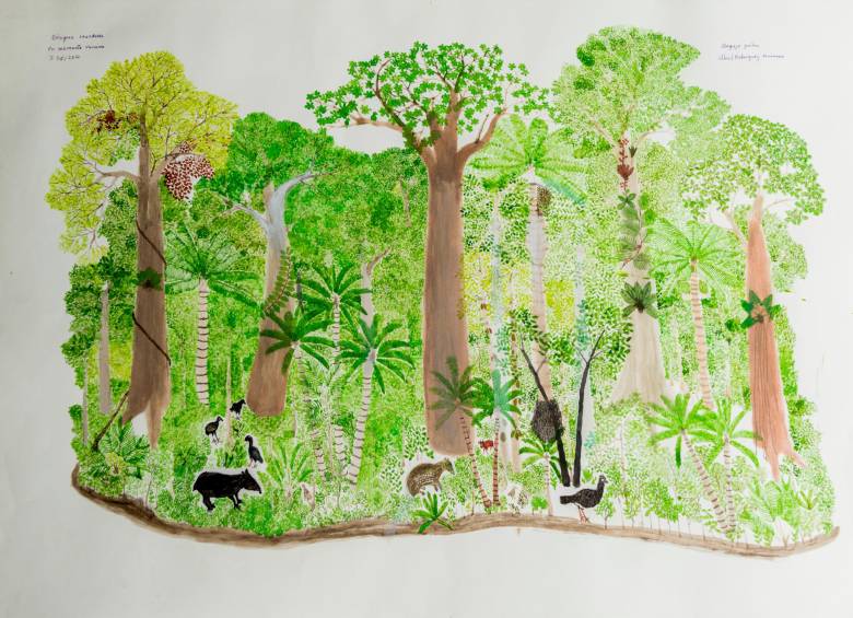 Cuatro artistas reflexionan sobre la biodiversidad