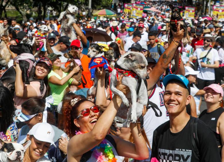 Aunque también hay espacio para los gatos y otras mascotas, los perros son los reyes indiscutibles del desfile por su gusto por caminar y habilidades sociales. FOTOS Manuel Saldarriaga