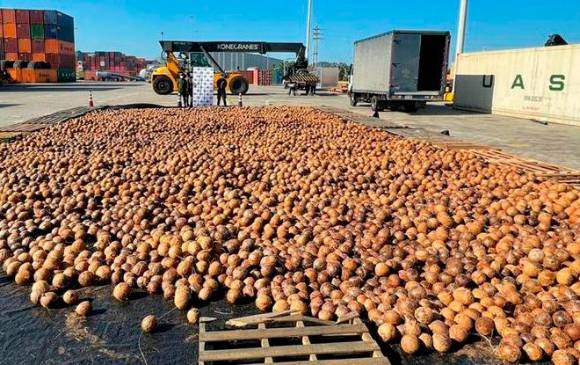 ‘Narcococos’ incautados en el puerto de Cartagena FOTO CORTESÍA