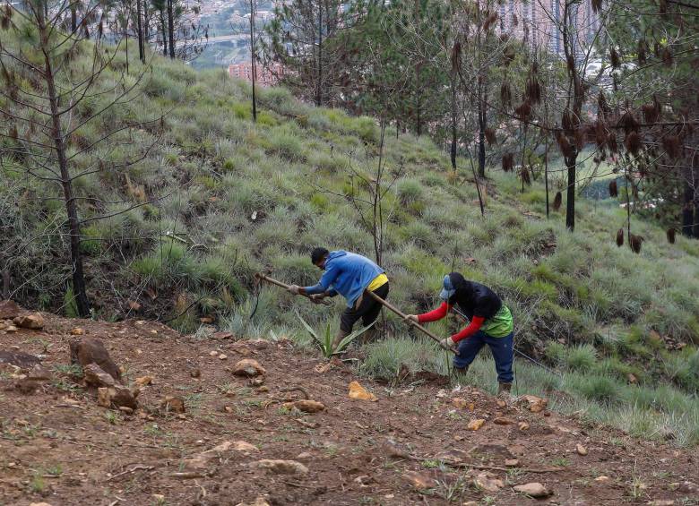 Dos hombres que se hallaban en la zona adecuando un lote. Alegaron ser funcionarios de la “Gobernación de Medellín. FOTO: Manuel Saldarriaga.