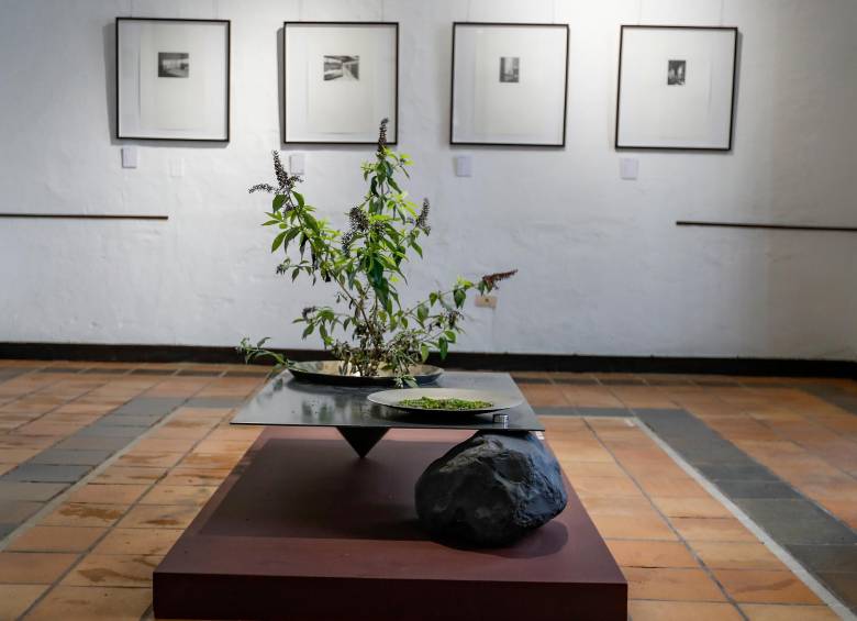 Ver arte a media hora de Medellín