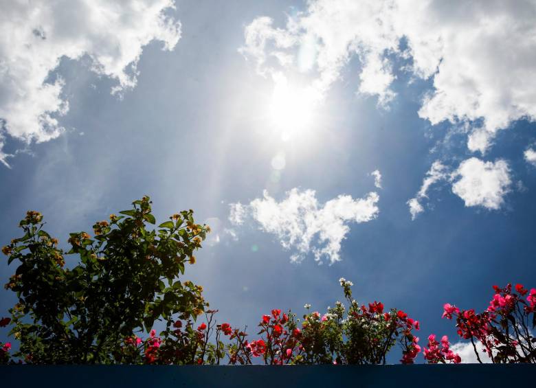 El fenómeno se apreciará este martes sobre las 12:06 del día. Foto: Edwin Bustamante Restrepo
