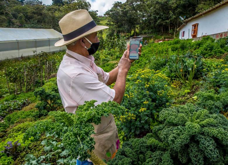 La plataforma cuenta con un ticket promedio de US$1,3 millones en fincas, US$12.000 en animales, más de 3.000 usuarios registrados y 40.000 seguidores en redes sociales. FOTO juan Antonio Sánchez