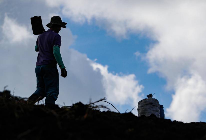 En días pasados el presidente Petro lanzó una dura advertencia al gremio ganadero, Fedegán, al afirmar que la venta de tierras para la reforma agraria es ya y “no en 20 años”. Foto: Manuel Saldarriaga
