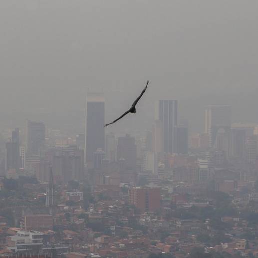 Según el estudio, Colombia se enfrenta a la contaminación derivada de los incendios forestales provocados por olas de calor. FOTO: MANUEL SALDARRIAGA