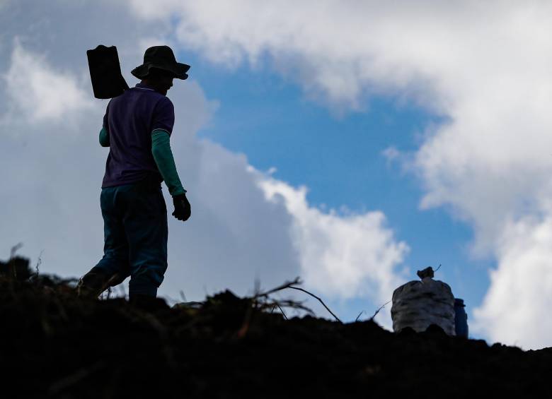 En días pasados el presidente Petro lanzó una dura advertencia al gremio ganadero, Fedegán, al afirmar que la venta de tierras para la reforma agraria es ya y “no en 20 años”. Foto: Manuel Saldarriaga