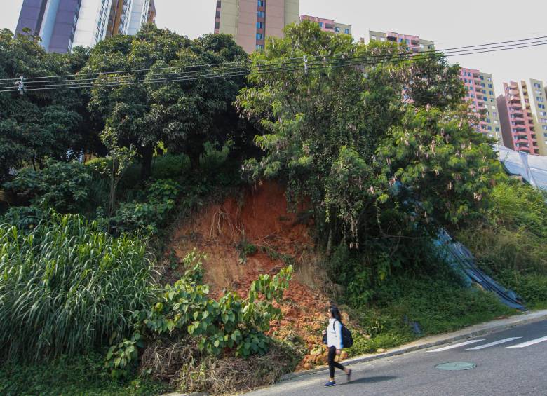 Un nuevo deslizamiento apareció en un lote de la zona verde que es responsabilidad de la Alcaldía de Medellín. FOTO: Manuel Saldarriaga