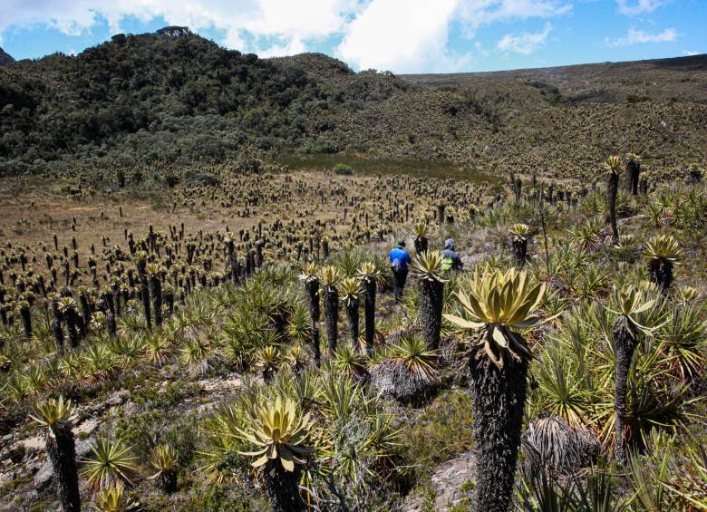Una familia le pone el pecho a la defensa del Páramo del Sol