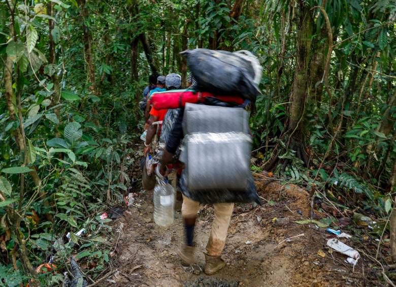 La agreste selva fue protagonista de este trabajo de EL COLOMBIANO. FOTO: MANUEL SALDARRIAGA La agreste selva fue protagonista de este trabajo de EL COLOMBIANO. FOTO: MANUEL SALDARRIAGA