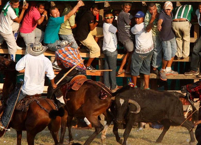 Los hechos de maltrato animal en las corralejas han llevado a los mandatarios a buscar a su prohibición. FOTO: JAIME PÉREZ