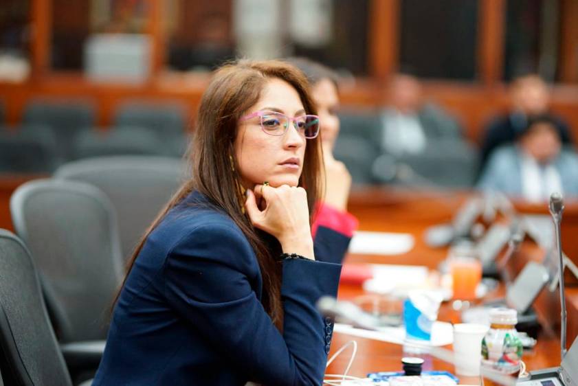 Corte alista expediente penal por plagio a Presidenta de la Cámara