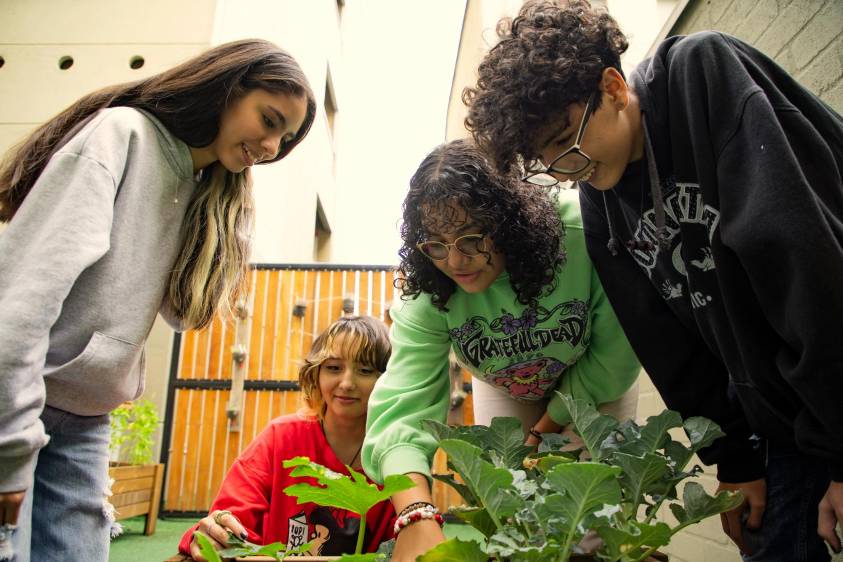 Para 2023, la comunidad crecerá a 3.500 estudiantes. Foto: Cortesía 