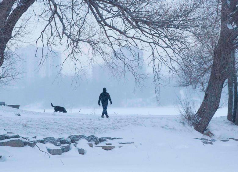 Según recogen los medios estadounidenses, las previsiones meteorológicas apuntan a que el temporal irá acompañado en las próximas horas de fuertes nevadas. FOTO AFP