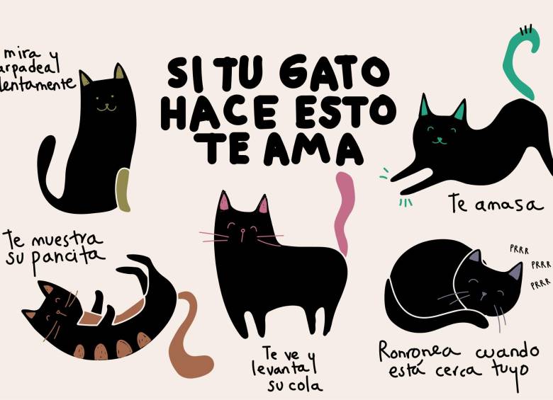 Ilustración: Nátaly Londoño Laura