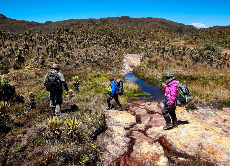 El Páramo del Sol está moldeado por tres glaciaciones que ocurrieron 10.000 años antes antes de Cristo. FOTO: MANUEL SALDARRIAGA