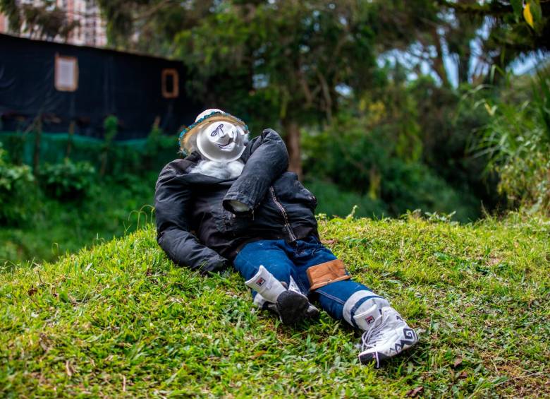 Mono, uno de los pocos añoviejos que EL COLOMBIANO encontró en el Aburrá. FOTO: Camilo Suárez.