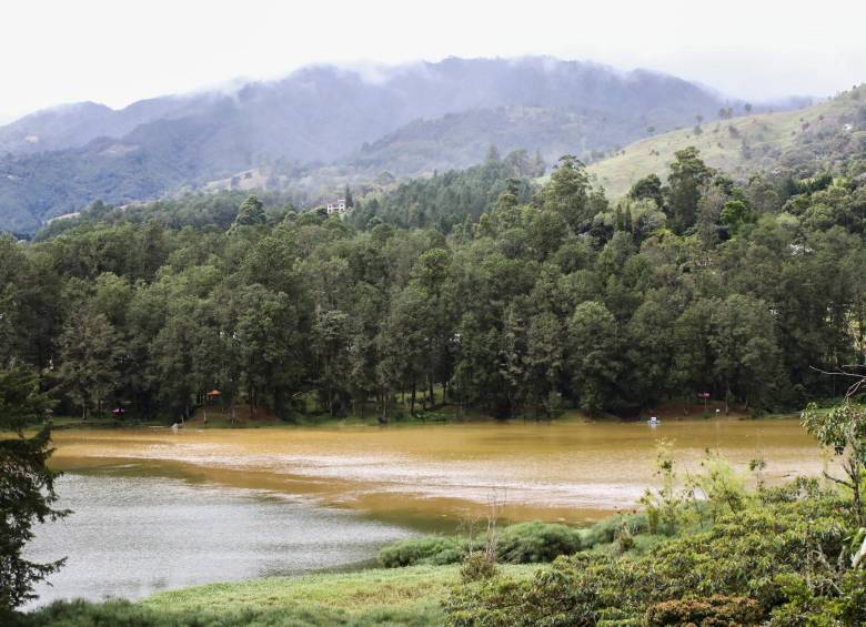 La entrada de aguas altamente contaminadas de uno de los cuatro afluentes que tributan en la represa preocupa todos los días a los vecinos del embalse. FOTO: ESNEYDER GUTIÉRREZ