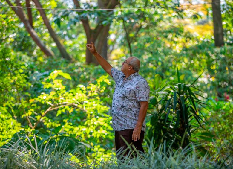 Cogollo es uno de los botánicos actuales más importantes del país. Ha encontrado más de 200 nuevas especies. Foto: Camilo Suárez.