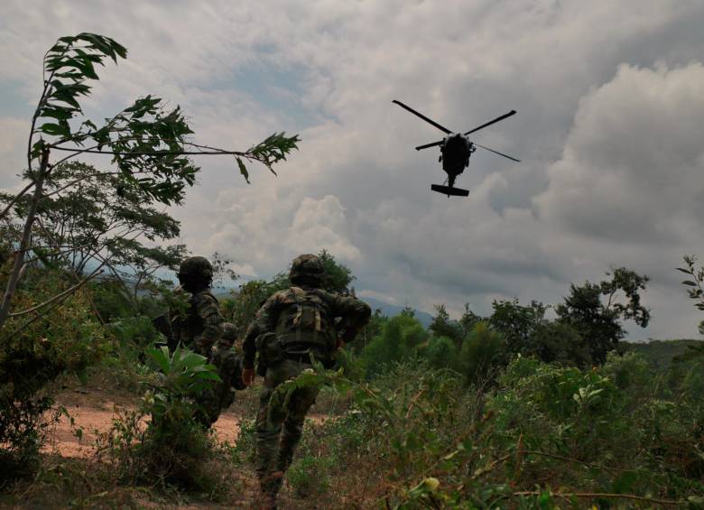 Imagen de referencia de la erradicación de cultivos de uso ilícito en Colombia. FOTO: COLPRENSA