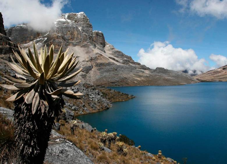 Foto: Archivo EL COLOMBIANO