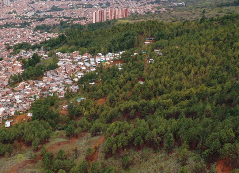 Los grupos ilegales venden los lotes hasta por más de $10 millones. Sus principales compradores son desplazados y población migrante. FOTO: Manuel Saldarriaga.