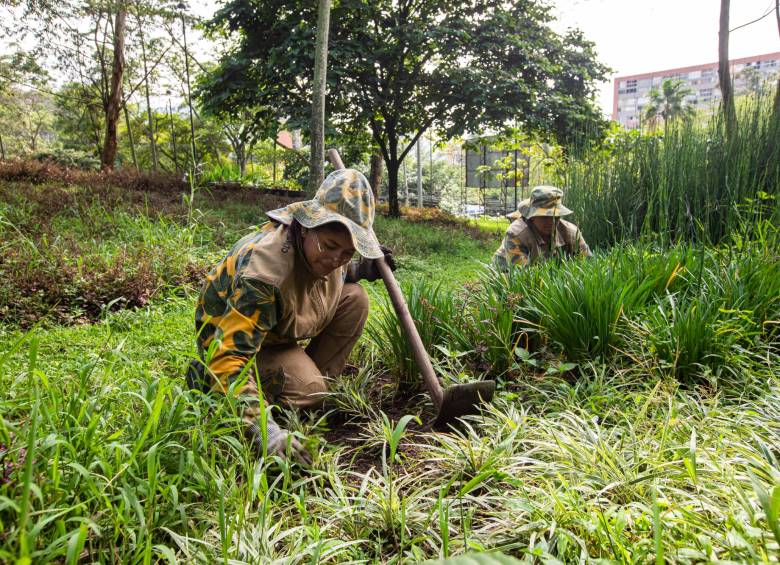 ¿Atracadores se están ‘cebando’ con vecinos del parque La Frontera, en El Poblado?