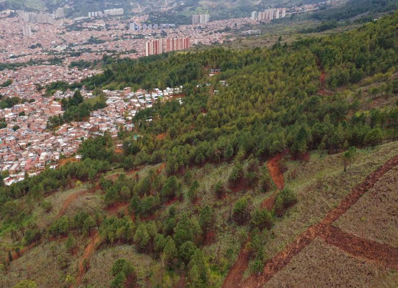 El asentamiento irregular se sigue expandiendo. Los dolientes del Quitasol esperan que se dé una pronta solución a la problemática. FOTO: Manuel Saldarriaga.