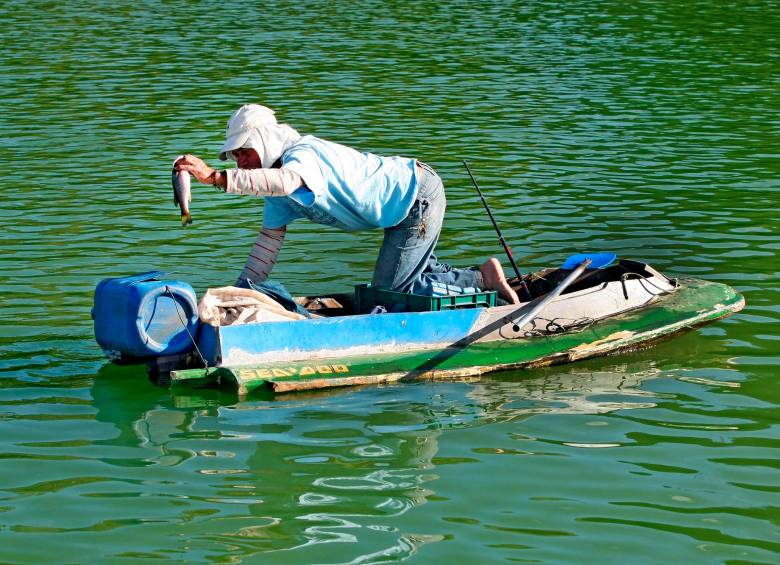 20 kilogramos de pescado al año por persona se consumen en el mundo. Fotos: Juan Antonio Sánchez