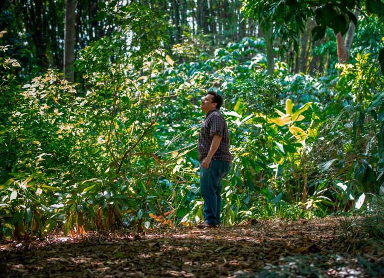 Álvaro Idárraga es el líder del Herbario del Jardín Botánico de Medellín. Foto: Camilo Suárez.