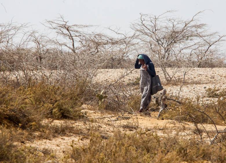 La población La Guajira es vulnerable a estas enfermedades y se evidencia un abandono por parte del Estado. FOTO julio c. herrera. 