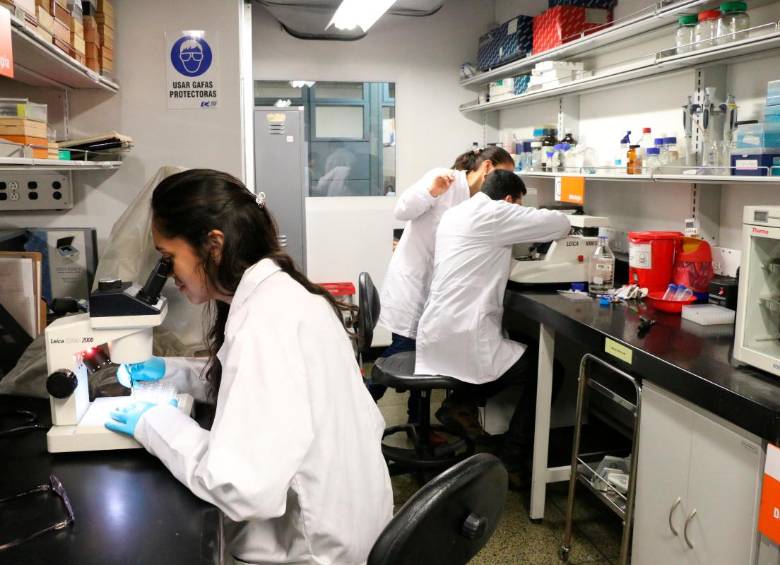 La investigación sobre la llamada mutación paisa es clave para lograr la prevención del Alzhéimer. 