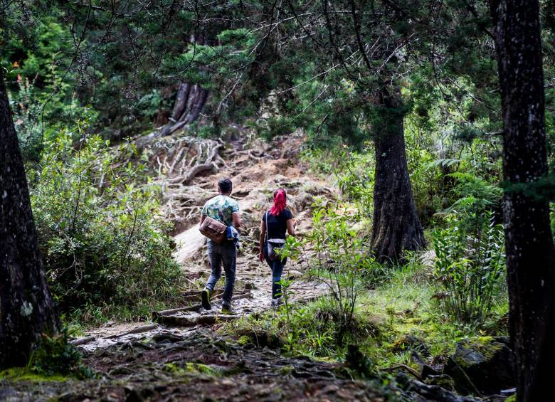 Los cinco corregimientos comprenden el 43% del territorio de Medellín. Allí residen 350.000 habitantes. Su autoridad podría pasar a manos del Área Metropolitana. FOTO Juan Antonio Sánchez
