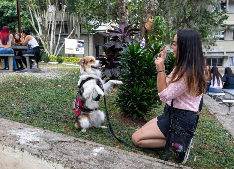Java es una perra de asistencia que acompaña a Janibel a la universidad. FOTO EL COLOMBIANO
