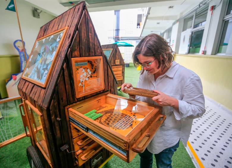 Esta es la vitrina de Bichomóvil, una muestra itinerante de insectos. FOTO Esneyder Gutiérrez