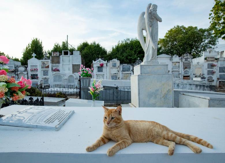 ¿Se le mide? Ir de paseo a conocer fantasmas