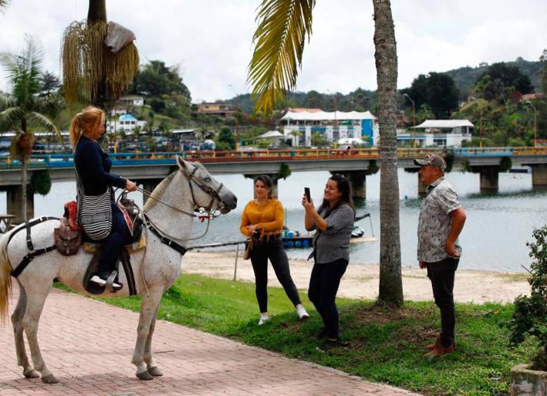 Los ciudadanos pueden jugar un papel no montando animales en mal estado de salud o cansados. FOTO EDWIN BUSTAMANTE