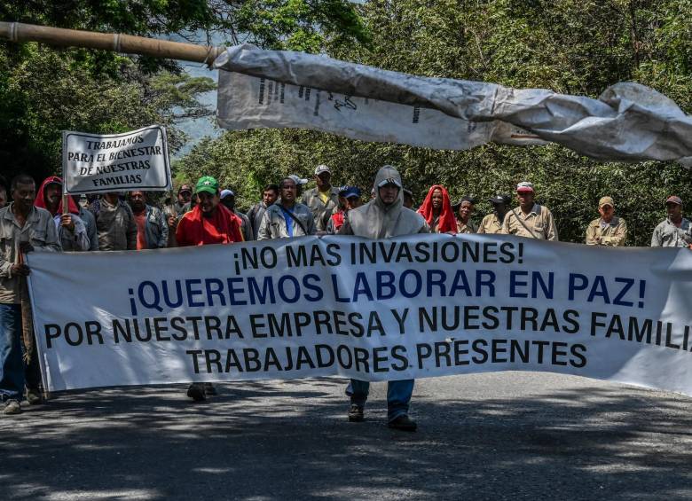 Trabajadores de la industria de la caña pidieron frenar las invasiones de los indígenas. FOTO afp