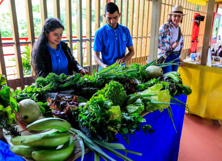 Víctor y Dálida son dos jóvenes que se formaron técnicamente y crearon un emprendimiento de agricultura y turismo que ahora genera empleo en Jericó. FOTO jaime pérez