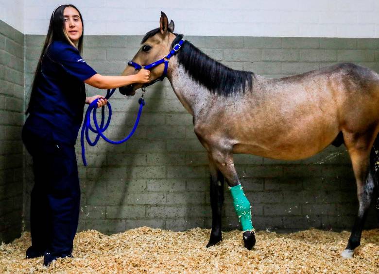 Valentino acompañado por una de las estudiantes que lo ayudó en su recuperación. FOTO Jaime Pérez