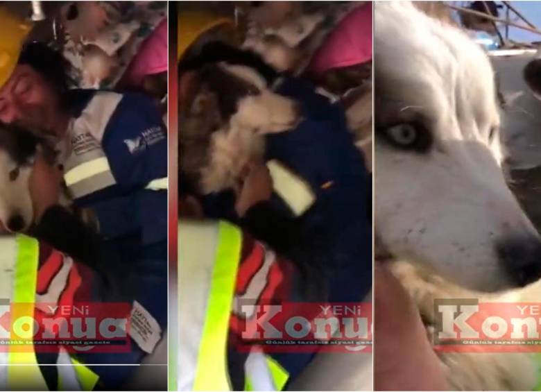 El animal estuvo debajo de los escombros del edificio desde el lunes 6 de febrero hasta el miércoles 1 de marzo. FOTO: CAPTURA DE VIDEO 