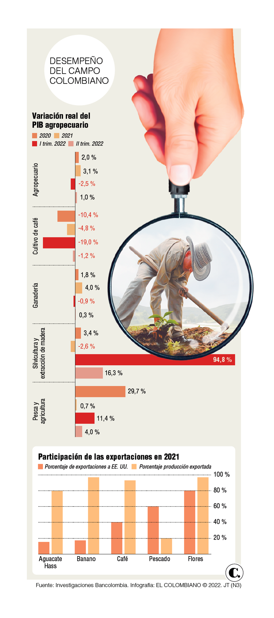 InfogrÃ¡fico